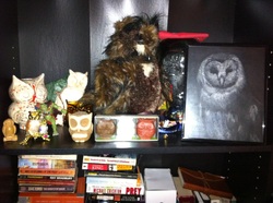 Owls have a new home.